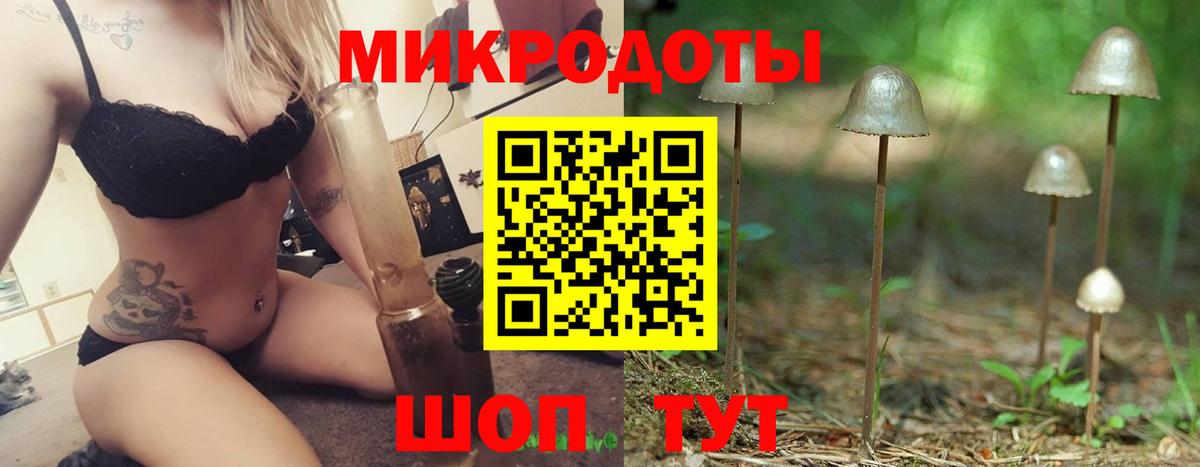 Галлюциногенные грибы Полевской